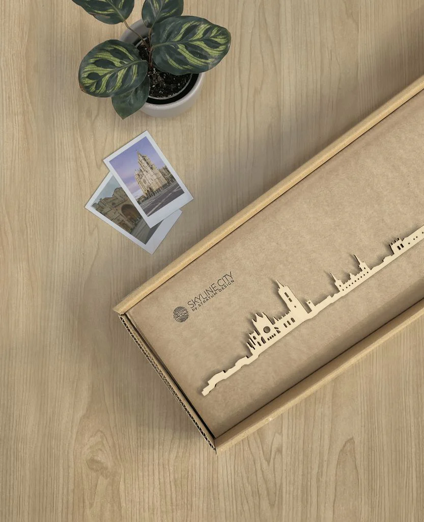 Skyline León - Image 16