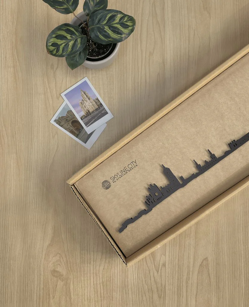 Skyline León - Image 18